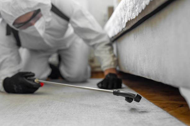 Professional Bed Bug Control technician working in Newtown Grant, PA